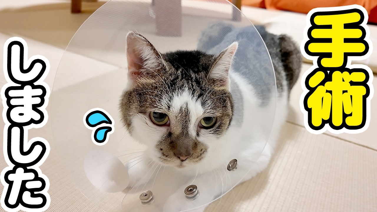 The Day of the Surgery] I underwent surgery to remove a lump that