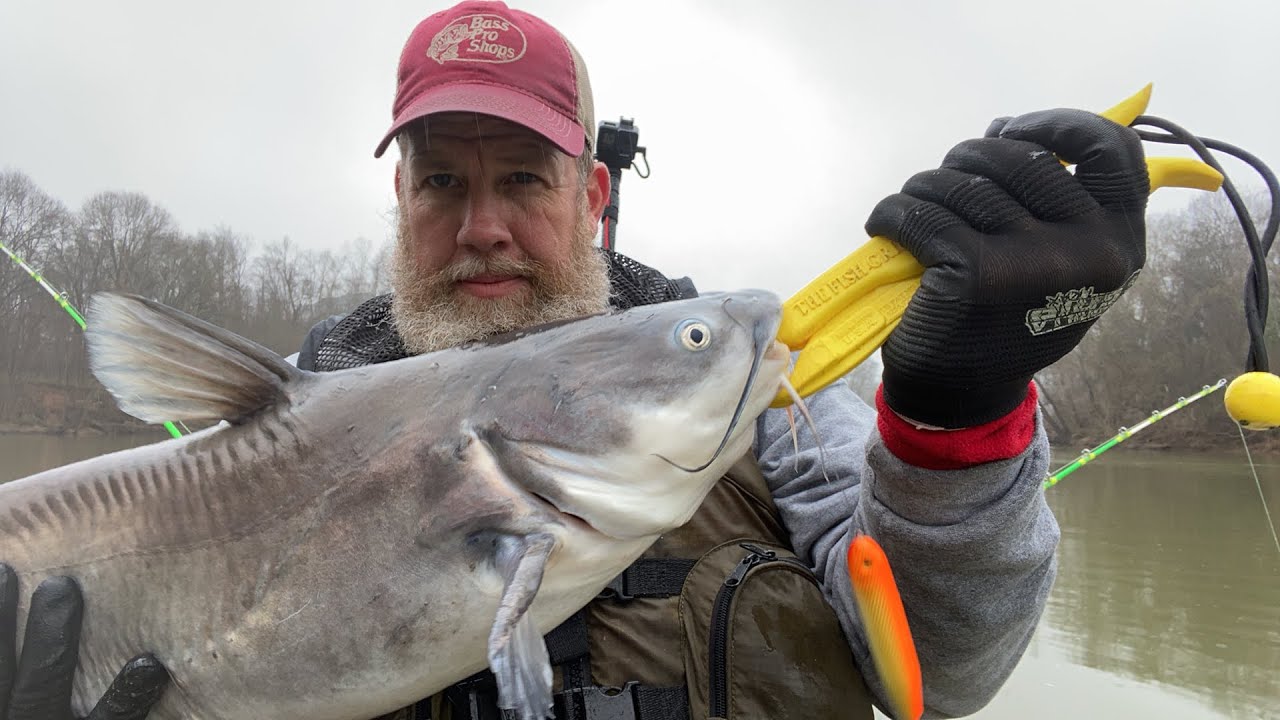 Anchor fishing for big cats on the river!!