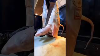 #Giahao23-humor kaka😆🤣A funny situation where the older brother has a terrifying dream🫢🤩🤫