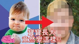 那些網路爆紅的人都到哪去了