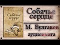 Собачье сердце - М.А. Булгаков