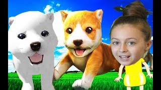 СИМУЛЯТОР Маленькой собаки #2 виртуальный питомец Лабрадор мультяшная игра видео для детей #AnekVane СИМУЛЯТОР Маленькой собаки #2 виртуальный питомец Лабрадор мультяшная игра видео для детей #AnekVane
