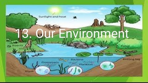 Standard 5 Social Studies Chapter 13 (Part 1)