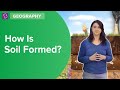 Soil Secrets: Unveiling Layers and Life Beneath Our Feet