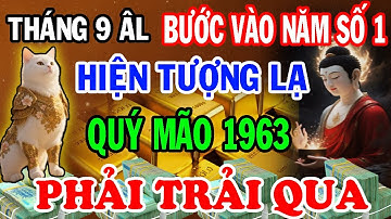 Tuổi Quý Mão 1963 Tháng 9 Âm: TƯỞNG ĐEN ĐỦI, AI NGỜ LỘC TỚI TẤP! Tiết Lộ Cơ Hội Chỉ Xuất Hiện 1 Lần
