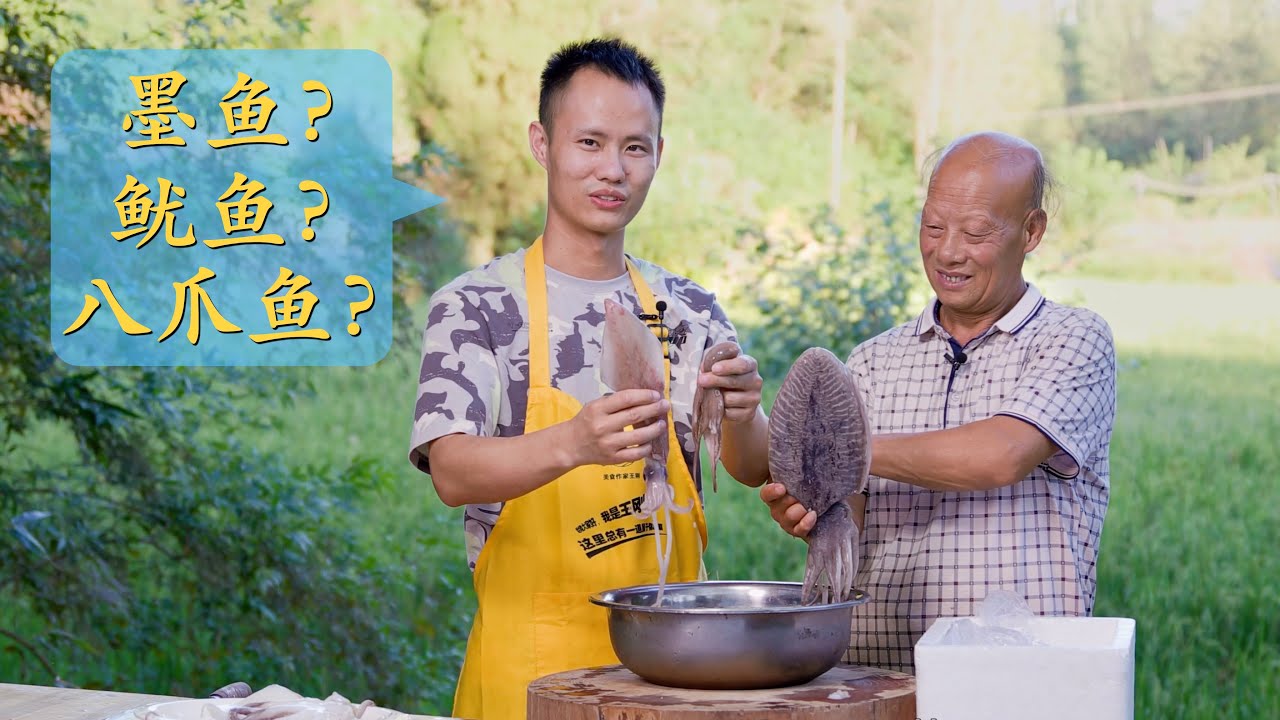 鱿鱼、墨鱼、八爪鱼分不清楚？本期视频教大家如何区分辨别，其实很简单