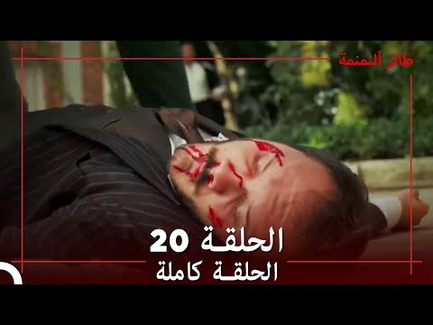 طائر النمنمة الحلقة 20 جودة عالية 