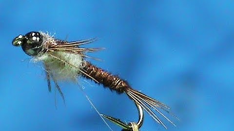 Beginner Fly Tying a Bleached Belly Pheasant Tail with Jim Misiura