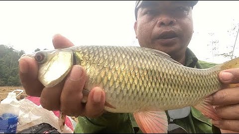 Full - Câu cá và  Cắm Trại  Tập 21 | 3 ngày 2 đêm Hồ Thủy Điện  và Trải Nghiệp và Câu Cá Trong Rừng