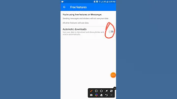 Messenger Auto Save Photos And Videos Automatic Download Gallery New Setting 