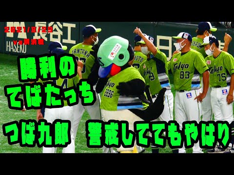 つば九郎　警戒するもやっぱり… Iコーチのいたずら　2021/8/29　vs横浜DeNAベイスターズ