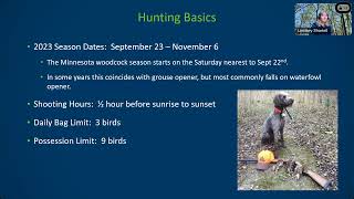 129 Woodcock hunting