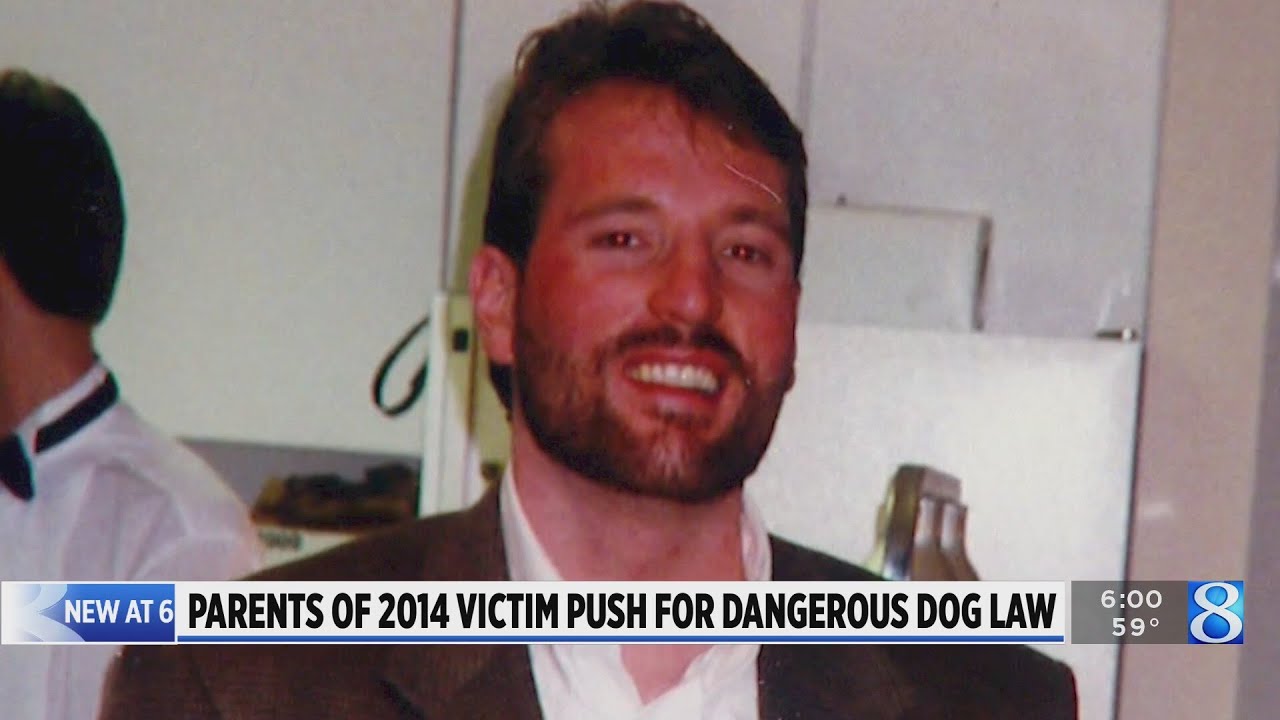 Parents of fatal dog attack victim push for dangerous dog law - YouTube