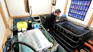 Modern Koi Blog #1475 - How water levels in the filter change with the water flow