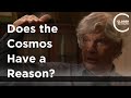 Stuart Kauffman - Does the Cosmos Have a Reason?
