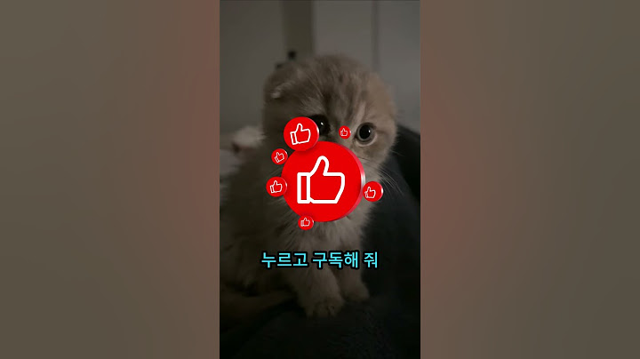 몸에 거미가 있나요? 진짜인 줄 알았는데! 😨
