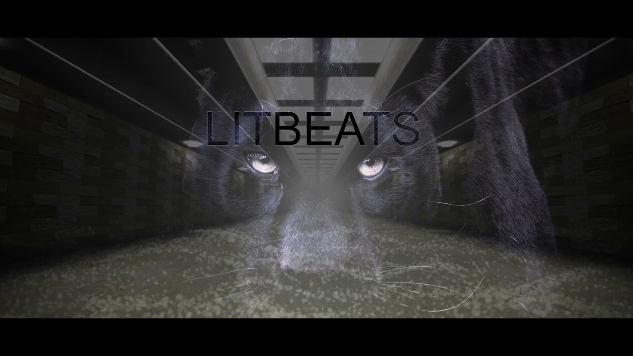 [COPYRIGHT FREE] LITBEATS - 001 - RnB​ | Free Rap Beat | 2021