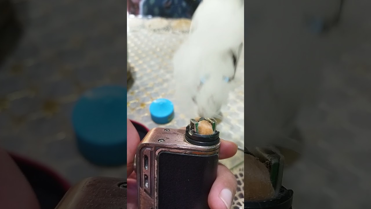 single coil RDA Reload S sxk.    