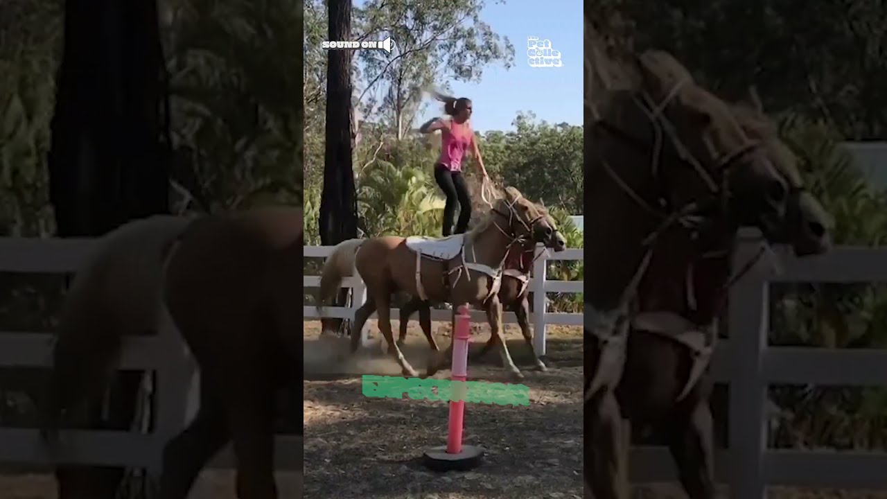 Horseback Riding Expectation Vs Reality