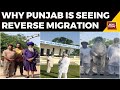 Why punjab is seeing reverse migration amid sweeping external exodus  punjab news