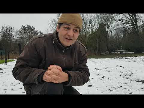 Schnee auf dem Feld! Warum "Auswintern"?