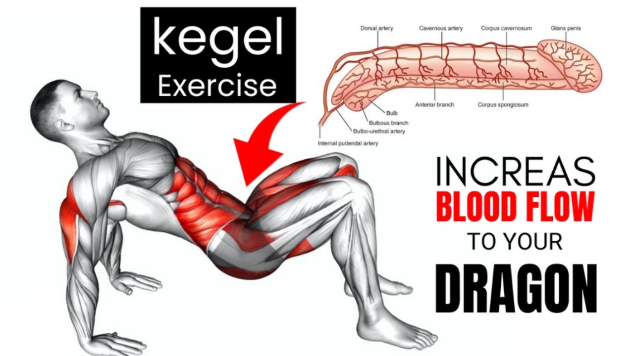 Kegel Exercises for Man And Women - Complete BEGINNERS Guide #kegel #kegelexercises #viral #trending