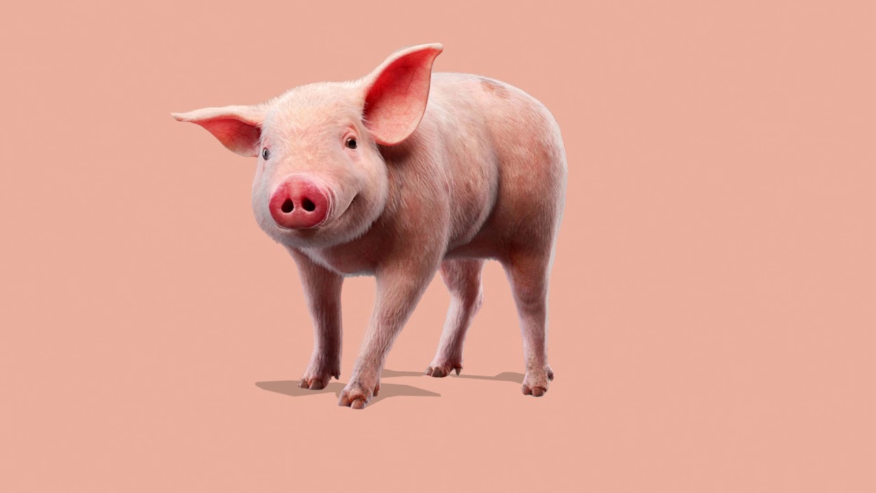 Moombahcore Moombahsoul Moombahton