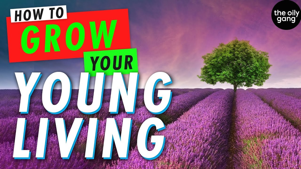 HOW TO CREATE A BUSINESS WITH YOUNG LIVING Free Course with