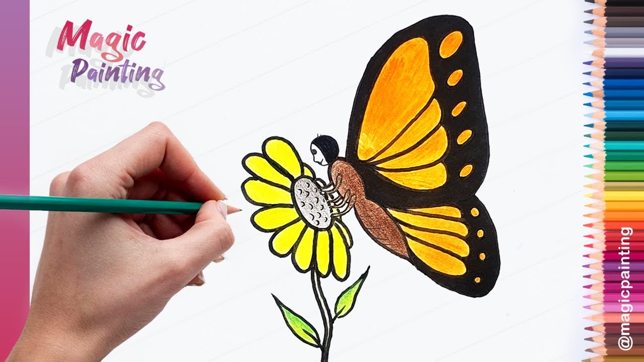 How to Draw a Butterfly | Butterfly Drawing & Colors | Drawing For Kids ...