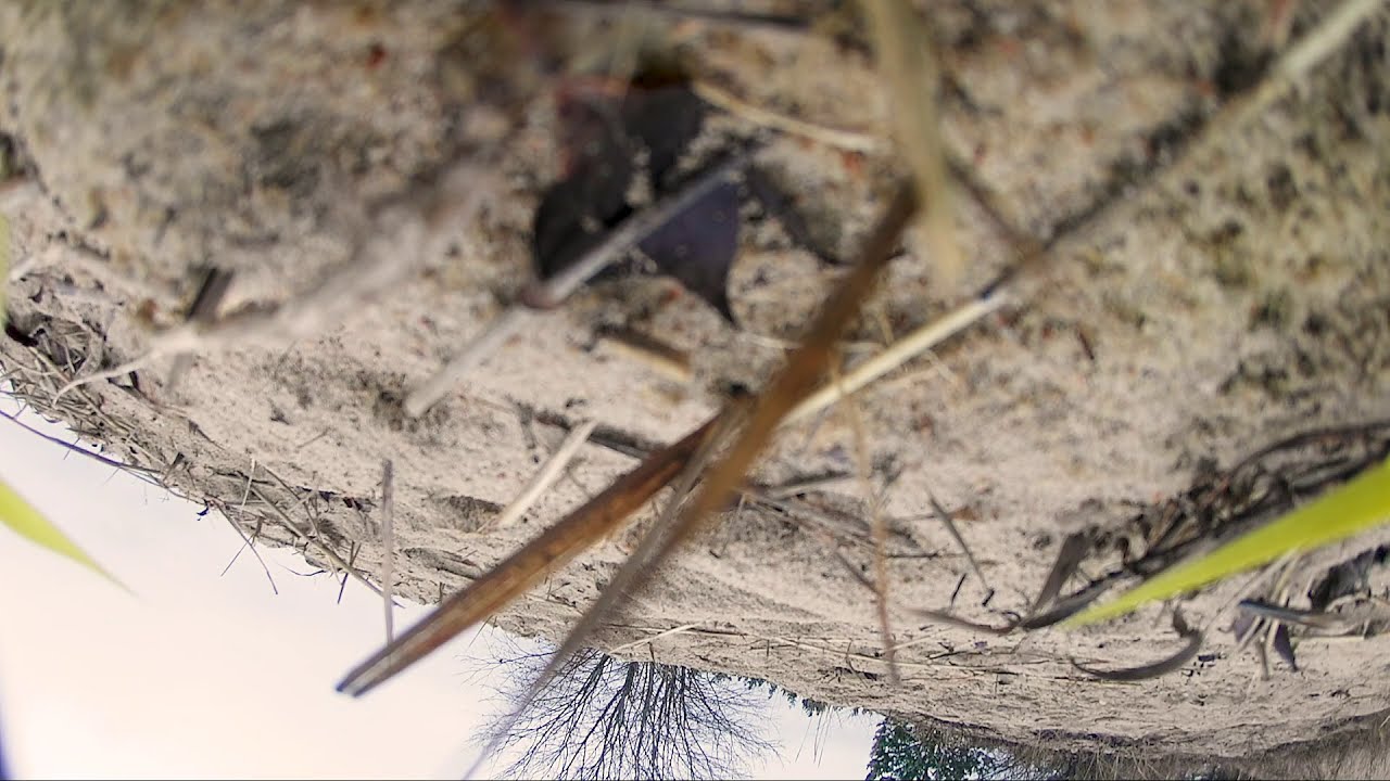 Sunday mornings, flopping around in the quarry :)