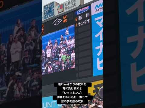 ［東京ヤクルトスワローズ］ サンタナ応援歌