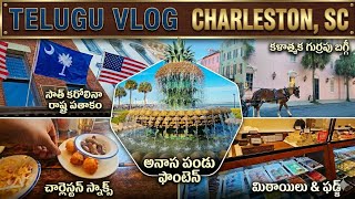 Charleston South Carolina Telugu Vlog: Food, History &amp; Rainbow Row! 🌈 (Must Watch)