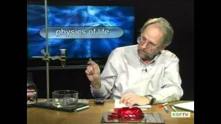 Physics of Life - Solid & Fluid Materials
