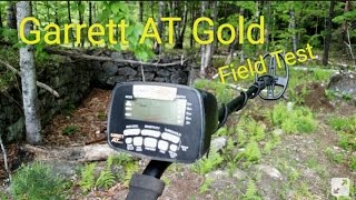 Garrett AT Gold Woods Hunt Field Test Depth  test with Video