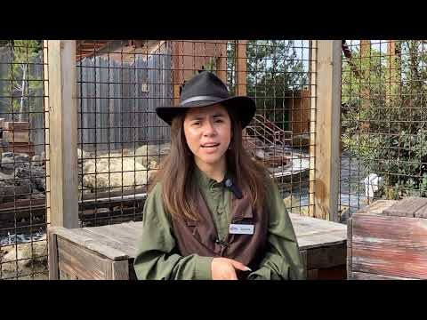 Friendliest Faces in the West - Ride Operations - Dyanara