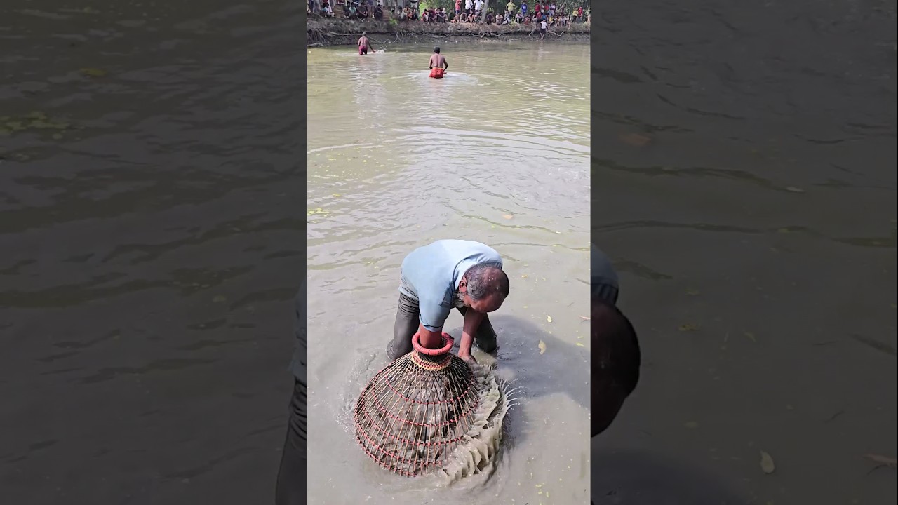 Wow! Amazing Polo Fishing Videos🐟Best Big Fish Catching🐟Primitive fishing 