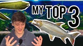 YouTuber Tanks: Sharks, Eels, and Tigerfish