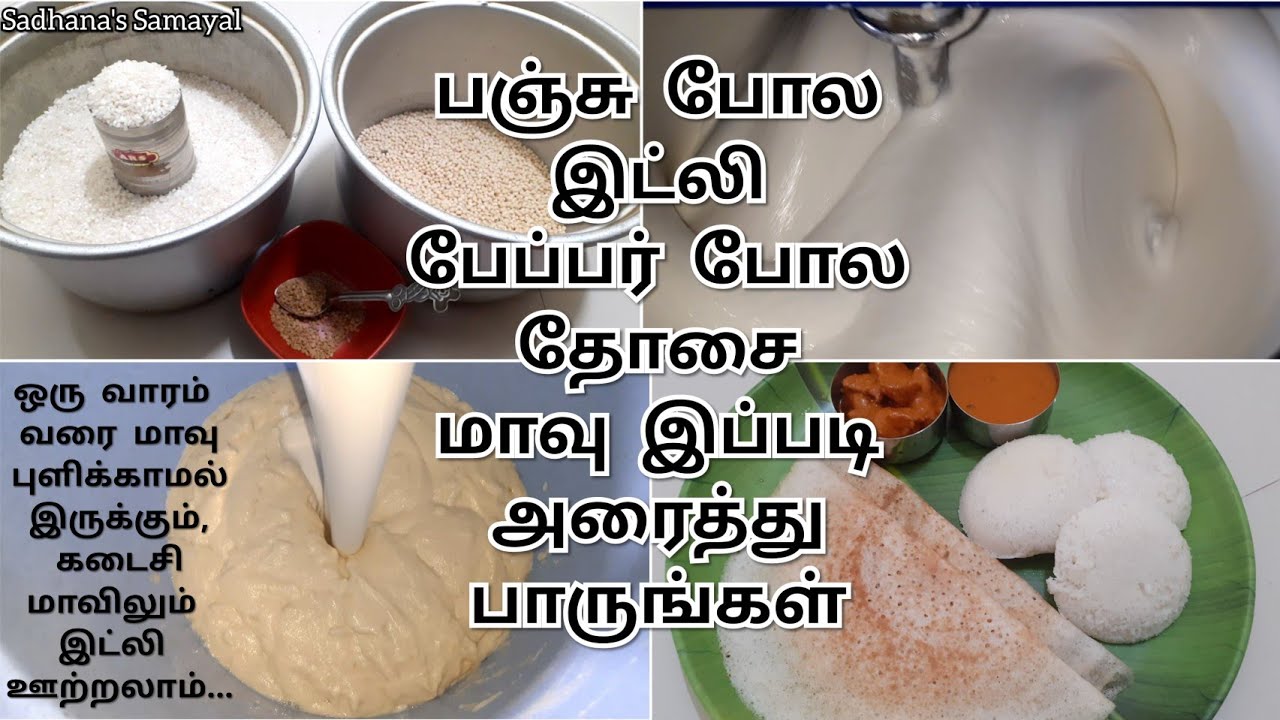 Perfect Ratio & Tricks for Soft Idli & Dosa Soft Idli & Crispy Dosa