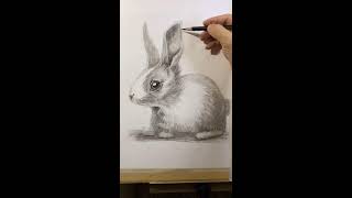 Art, Painting, Drawing