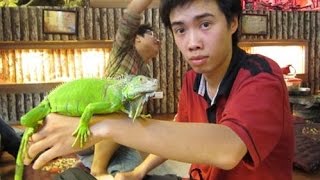 Share a Coffee with Snakes and Scorpions at Vietnam’s Popular Pet Cafe