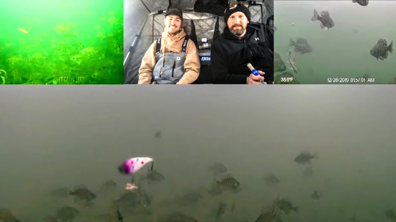 Ice Fishing LIVE in a Cold Front (Underwater Views) YouTube