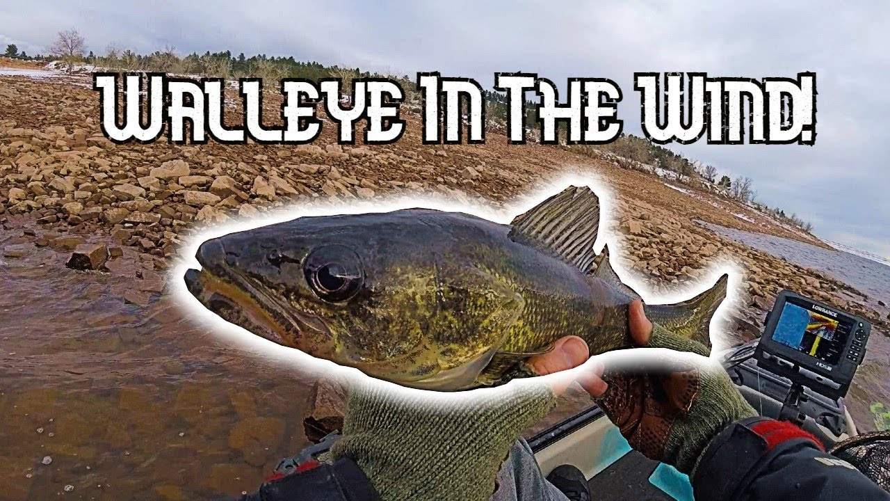 First Walleye Trip Of 2024! Kayak Fishing Carter Lake YouTube