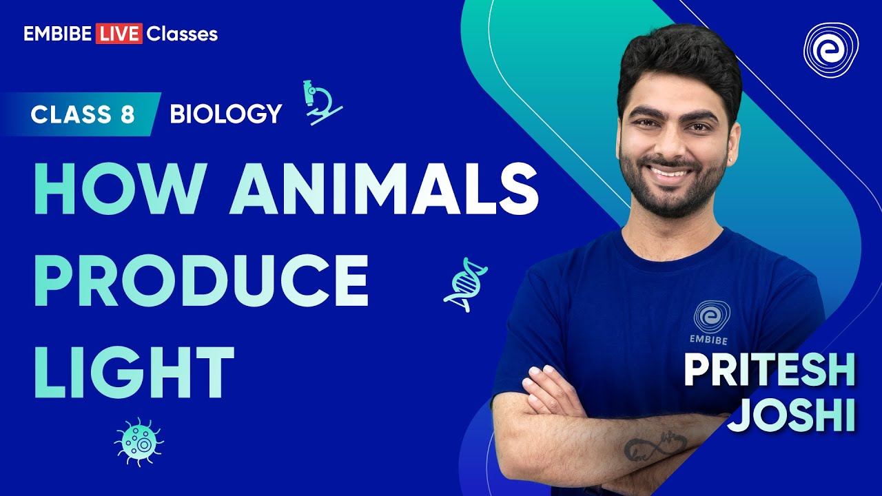 How Animals Produce Light? | Biology | CBSE Class 8th | Pritesh Joshi | Embibe