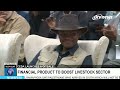 NEWS BULLETIN - AFRIKAANS