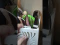 360° Rotating Kitchen Utensil Holder for Countertop Review, Fantastic Lazy Susan Holder!