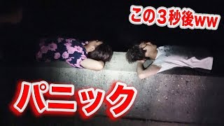 【超危険】カンタ寝てたら足に猛毒ウミヘビが来ましたwww