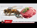 Oduu OBN Cyber Media Adoolessa 14 2017 Oduu OBN Cyber Media Adoolessa 14 2017
