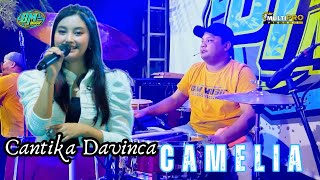 Camelia Cantika Davinca BM MUSIC live Peterongan Jombang
