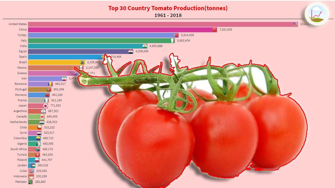 Top 30 Country Tomato Production | Year 1961 - 2018
