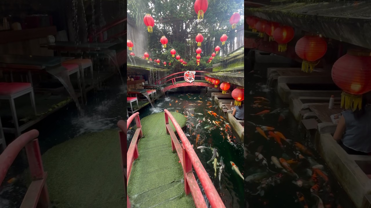 You Have to See This Place 😱